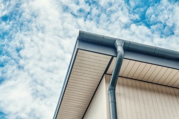 Gutter Fascia Repair in Plainfield