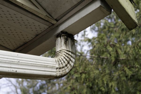 Cost of Roof Drain Replacement in Plainfield